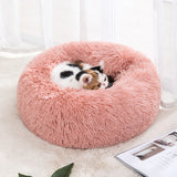 Self-Warming Cat Bed - Ultra-Soft Winter Pet Nest with Waterproof Bottom | Cozy for Cats & Small Dogs