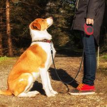 Auto-Retract Dog Leash Toy - Telescopic Training Rope w/ One-Hand Brake (USB Rechargeable) | Ships USA in 3-7 Days!