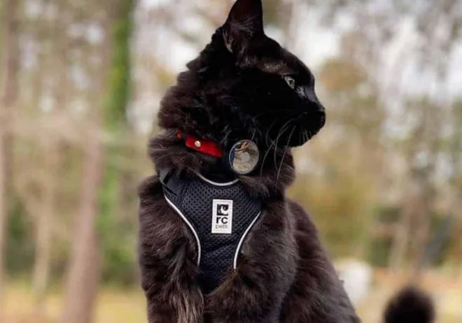 PawSafe™ Reflective Airtag Collar – Waterproof & Escape-Proof GPS Tracker Holder for Dogs & Cats