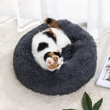 Self-Warming Cat Bed - Ultra-Soft Winter Pet Nest with Waterproof Bottom | Cozy for Cats & Small Dogs
